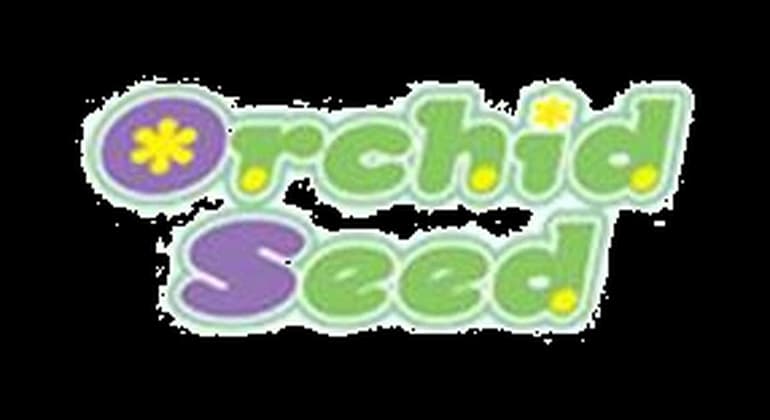 Orchid Seed image
